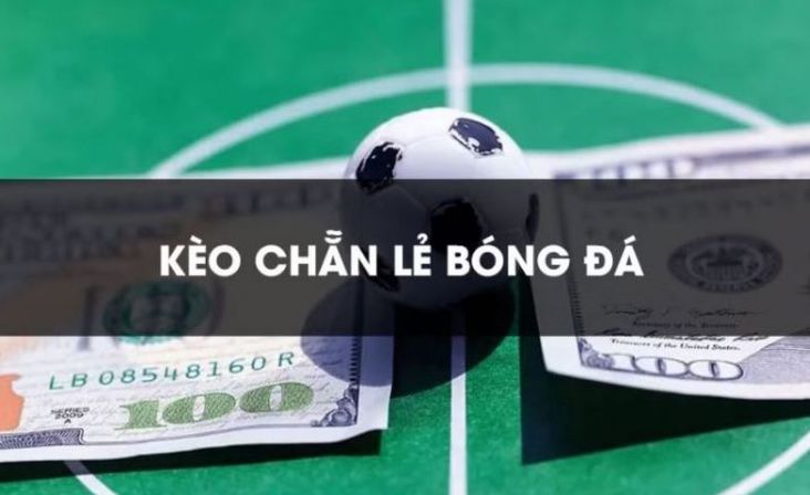 Tại sao các liên kết Win88 lại được cập nhật thường xuyên như vậy? - Win88