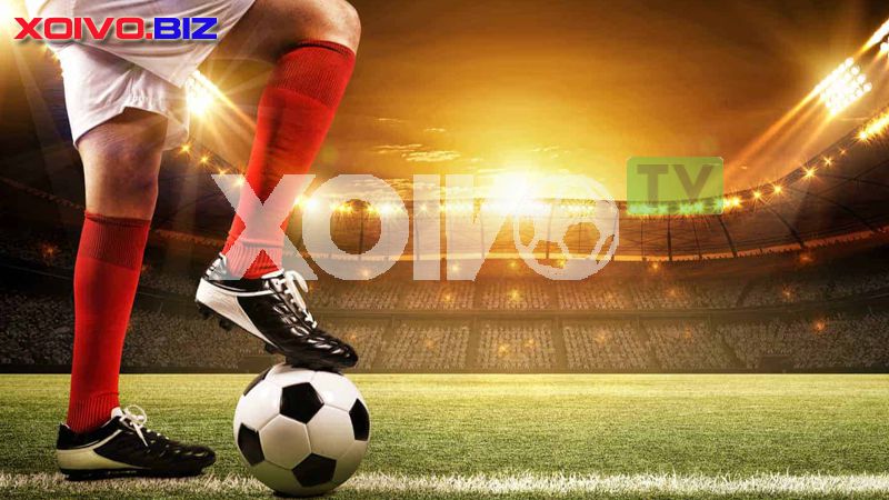 Game câu cá đỉnh cao với phần thưởng hậu hĩnh - Sv66