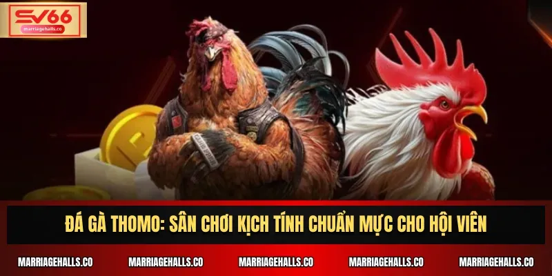 Trang web Banca30 Games cung cấp rất nhiều sản phẩm và sự lựa chọn phong phú - Banca30