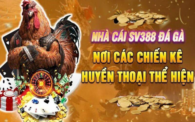 Tôi có thể tham gia vào trải nghiệm dịch vụ của Betcom bằng cách nào? - Betcom