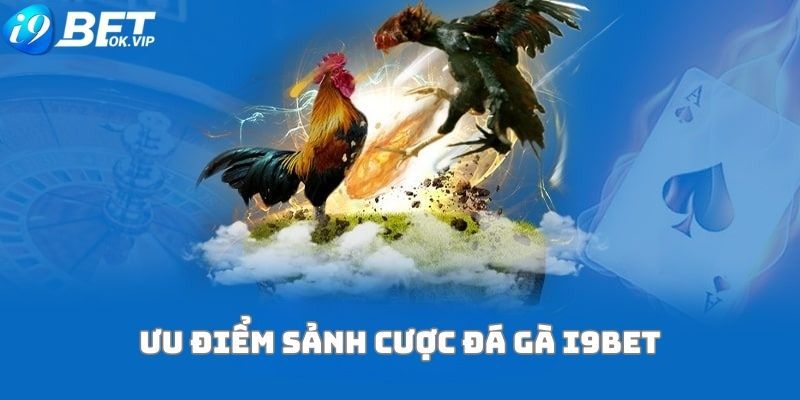 Câu hỏi thường gặp khi người chơi đăng ký tham gia Zalv - Zalv