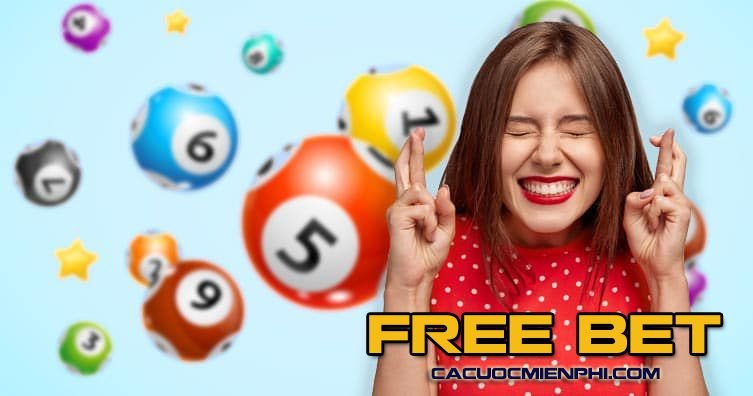 Quy tắc và quy định thi đấu bóng chuyền của Công ty Fi88 Games - Fi88