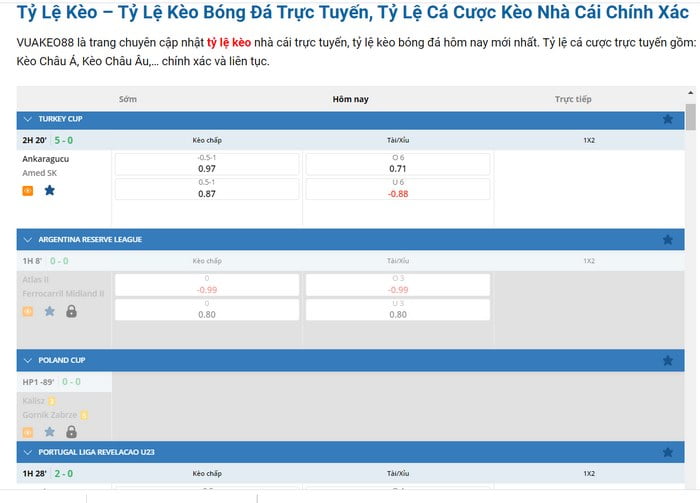 Những kho báu vừa đáng sợ vừa hấp dẫn trong các trò chơi cấp Stake - Stake