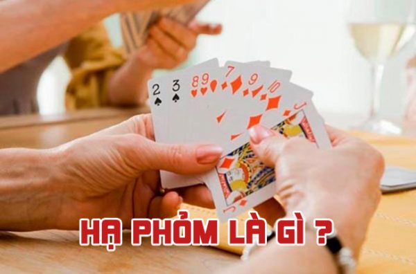 Hãy chọn Fun88 cho một khoản đặt cược lớn để đạt được kết quả mong muốn - Fun88
