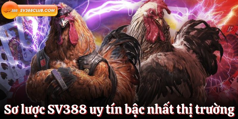 Trải nghiệm dịch vụ người chơi đẳng cấp Pg88 - Pg88