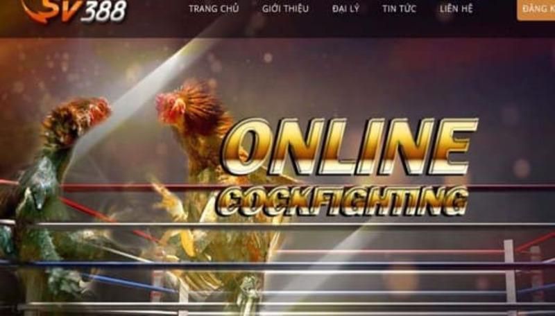 Câu hỏi 3: Có phí khi đăng ký tài khoản với Net88 không? - Net88
