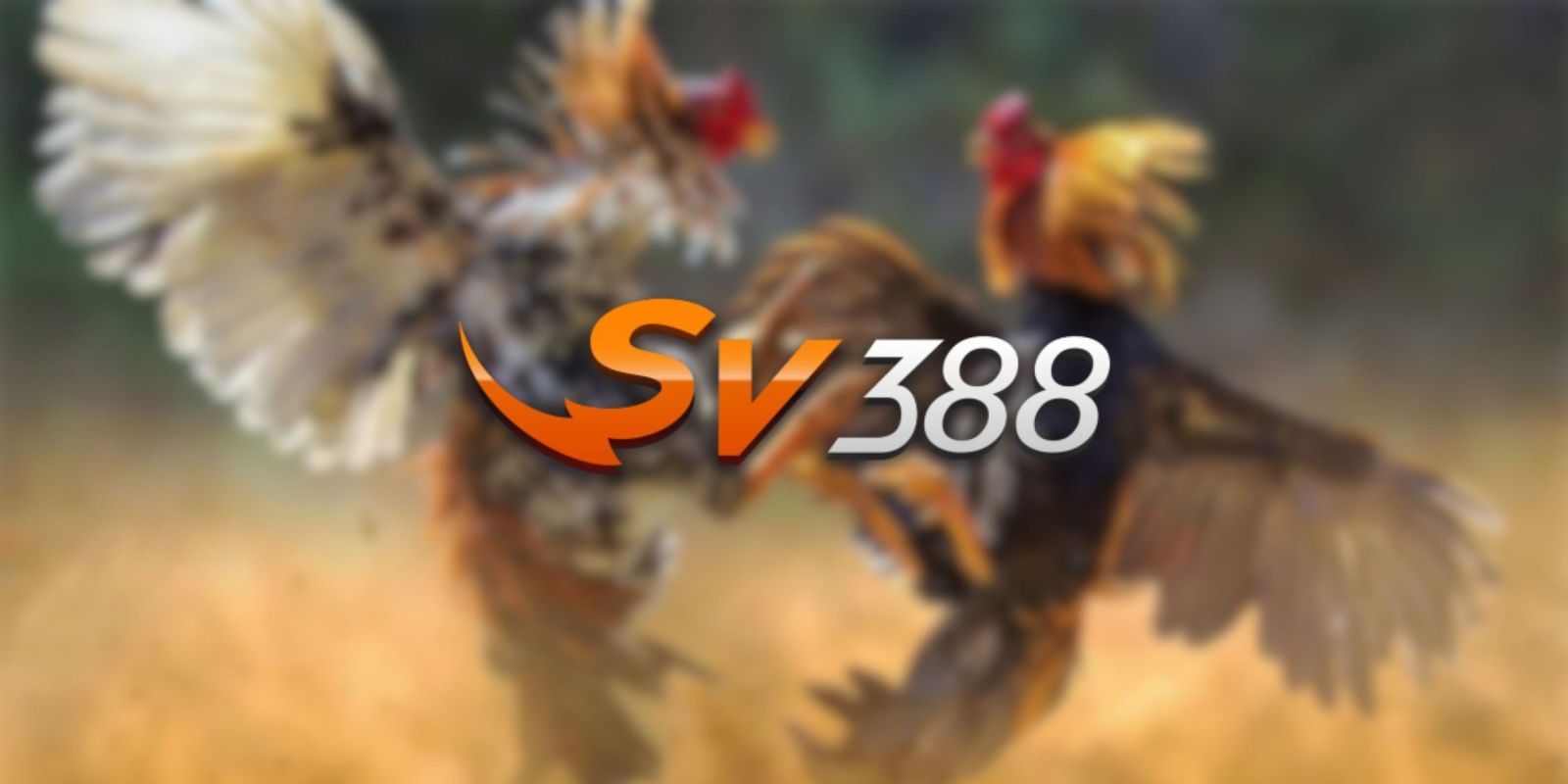 Đánh giá dịch vụ Hq88 - Hq88