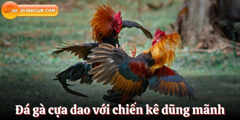 Chương trình đặc biệt được mong chờ nhất của Ee8801 TV - Ee8801