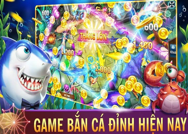 Những môn thể thao nào có tỷ lệ cược cao nhất trong các giải đấu cấp Xin88? - Xin88