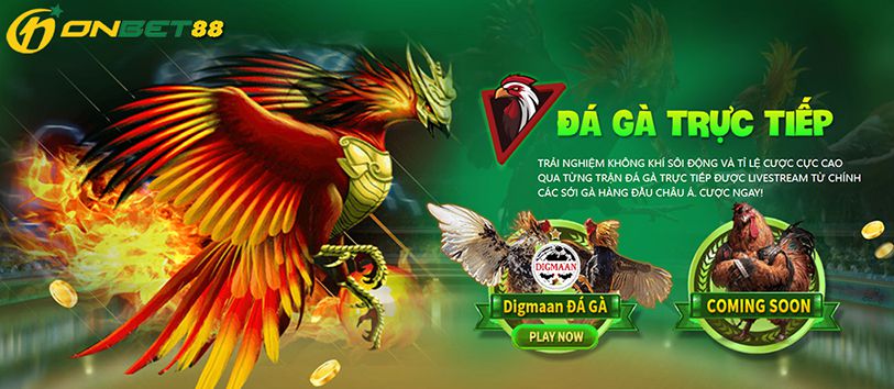 Cách chơi các trò chơi gia đình (đếm số) tại Câu lạc bộ S666? - S666