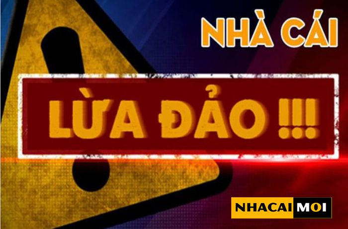 181Bet cung cấp nhiều trò chơi đa dạng và tỷ lệ thắng cược cao - 181Bet