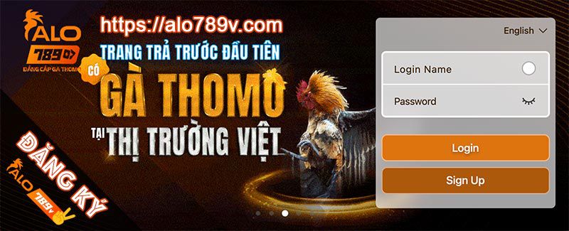 Câu lạc bộ 23Vip – Chơi bài không sợ thất bại - 23Vip