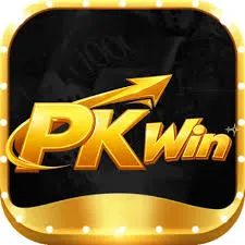 Pkwin